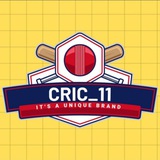 CRIC11 Fantasy Expert