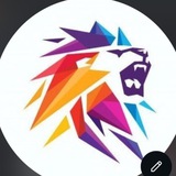 Vpn lion 🦁