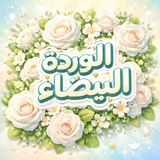 الورډة 𓂆 البيـضـاء 🍂 🤍