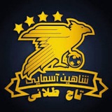 💲 شاهین آسمایی 💲