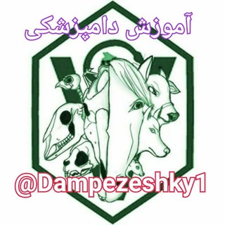 💊💉| آموزش دامپزشکی | 🧹💊
