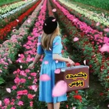 ❤️ چکیده ونوس ❤️