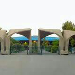 ارشد و دکتری علوم ورزش
