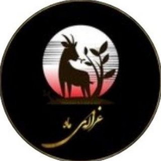 ♡ghazaleemMah♡