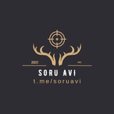 Soru Avı