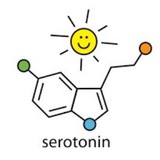 Serotonin Stage
