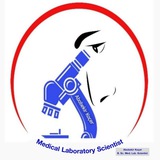 Medical Laboratory Scientist