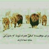 t.me/Channel roostaee