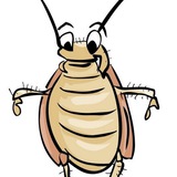 Свободная Критика Диванной Стратегии