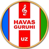 HAVAS GURUHI