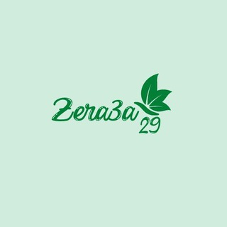 TEAM ZERA3A 29 🕊 🥥