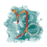 🪐 Zodiac | Козерог