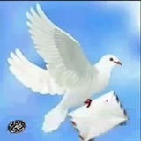 أيُّكم أحسن عملاً ( بوابة الأبطال)