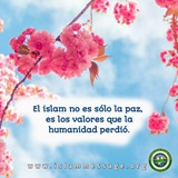 Español Dawah