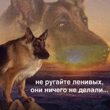 Цитатник ПсковГУ