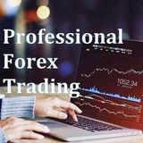 ONLINE INVESTORS INDIA