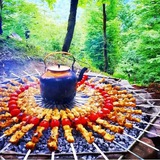 کانال گالری عکس(طبیعت،حیوانات)💖💖