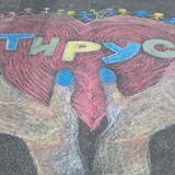 Детский лагерь «Тирус»