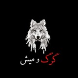 Gorgomiish 🐺