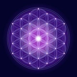 The Awakened Species ☀️