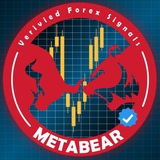 🐻 METABEAR FOREX ®️