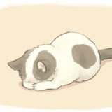 【アニメ】【アニメ】【レポ】