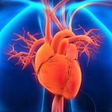 Cardiology USMLE STEP 1 Videos & qbank 2026