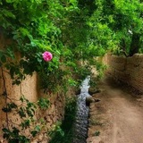 کوچه باغ خاطرات