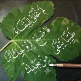 أحسن القصص و الحكايات
