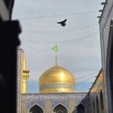 🇵🇸 ImamRezaFR