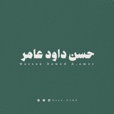 حسن داود عامر