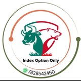 Indexoptiononly