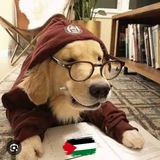 طالب بيطري 🐾