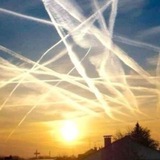 Nederland Wordt Wakker