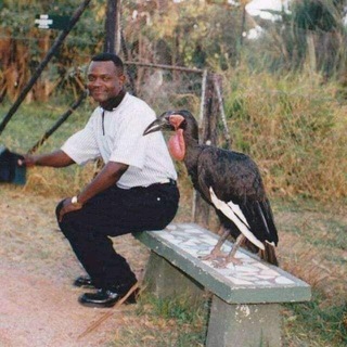Sungura Music (Zimbabwe)