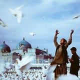 دالر مزار شریف
