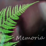 Memoria 🌿