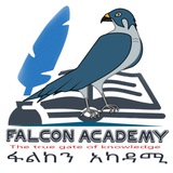Falcon Academy