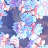 " صَبْرآ جَمِيلآ " 🌿