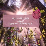 الأمــᬼ 🦋 ـل بـاللّٰــه♡