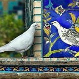 سیر در سفرنامه ها