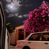 مٓـــدار ﴾