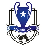 کاپ طلایی 16