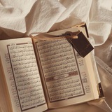 اعلان حلقات قرآنيه 🪴 .