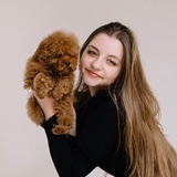 MALTIPOVSKA PUPPIES