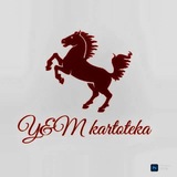 КАРТОТЕКА 🐎
