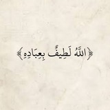 آيـات قرآنيـة.
