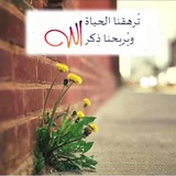 أمل محمد الحميضي