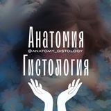 Анатомия | Гистология