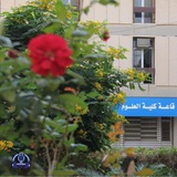 شعبة شؤون الطلبه والتسجيل / كلية العلوم- جامعة النهرين